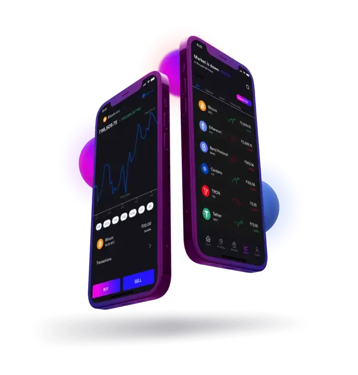 Raiz Invelink - Unleash the Power of Your Premium Membership - Embark on Your Path Now